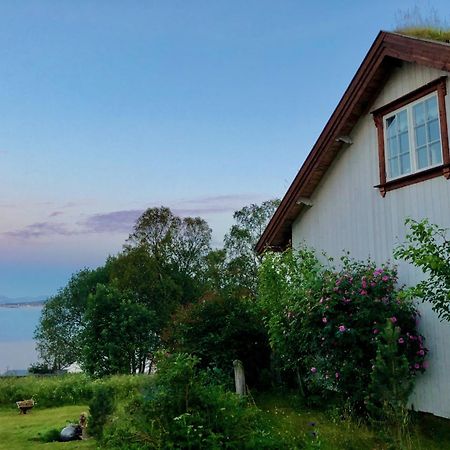Villa House By The Sea Sortland Exterior foto
